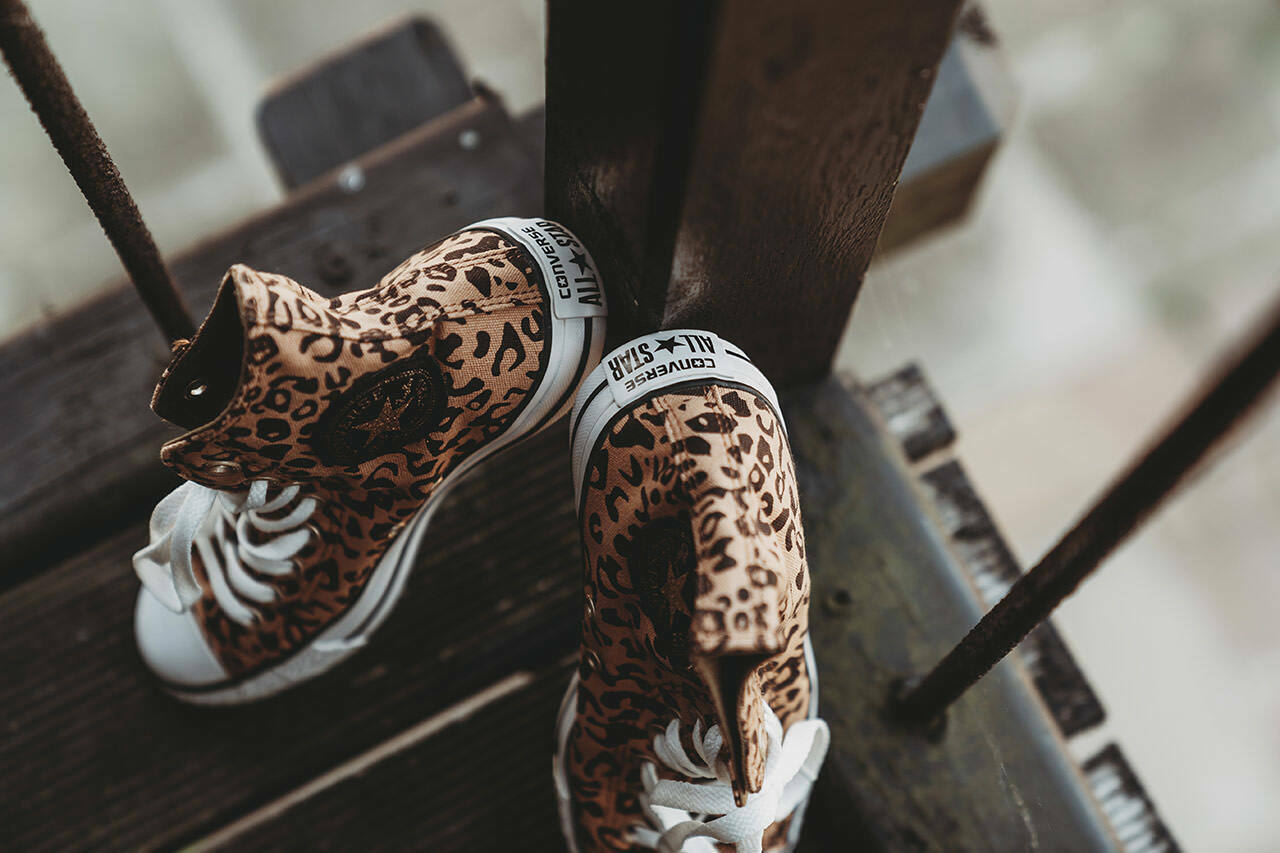 Hayley & Charlie / The Wilderness 9