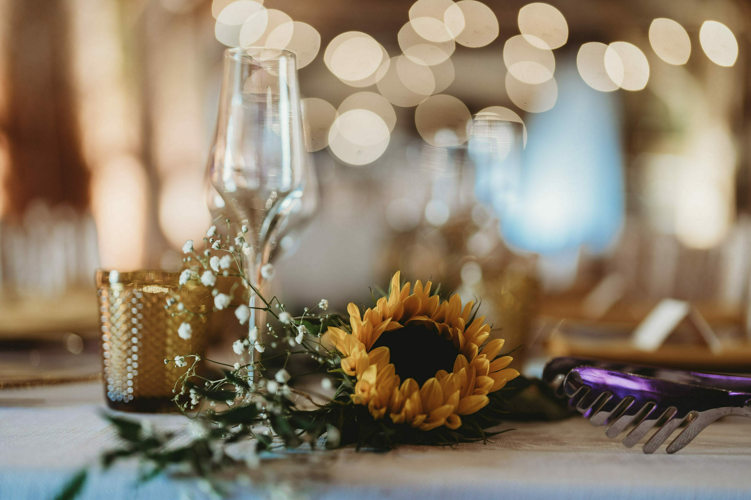 Hannah & Sam / Crows Hall 40 Hannah & Sam / Crows Hall 34