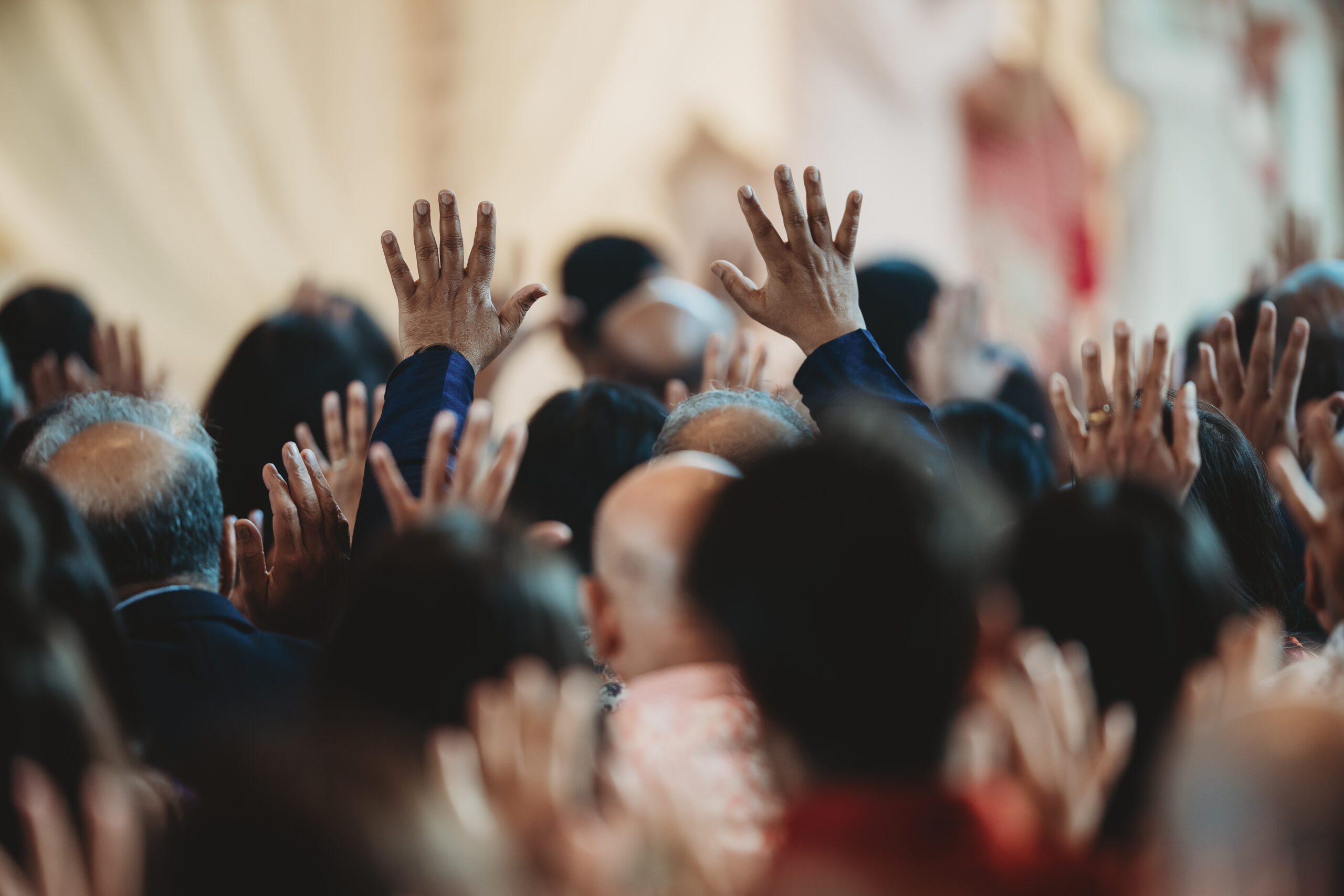 Trishna & Manni / Old Thorns 38 Trishna & Manni / Old Thorns 35