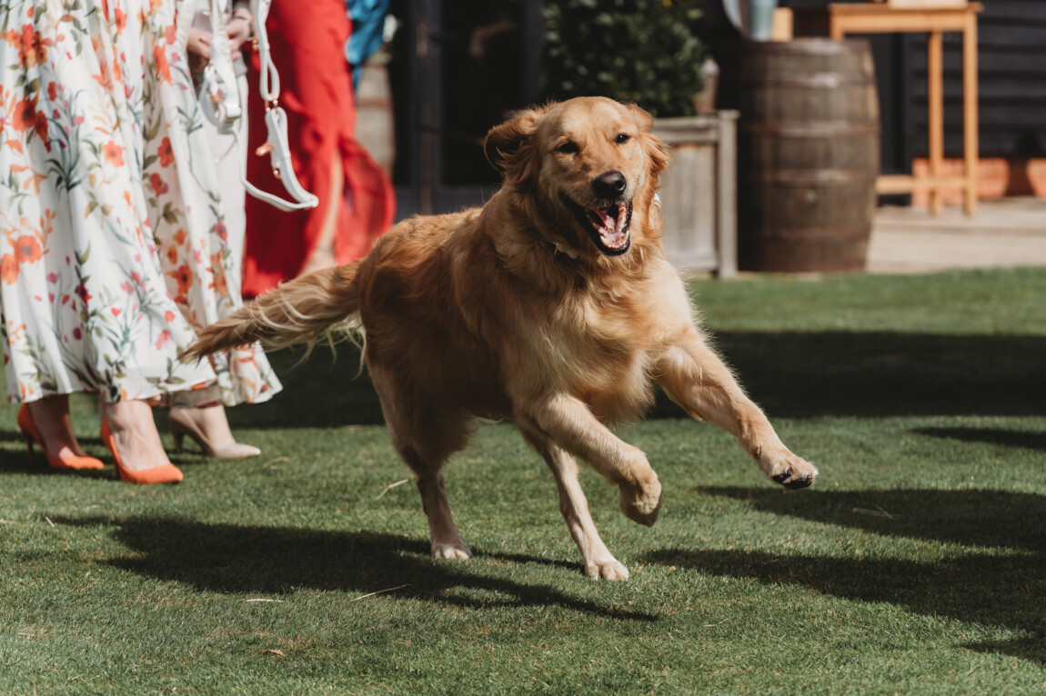 Bruisyard Hall wedding photographer, Suffolk